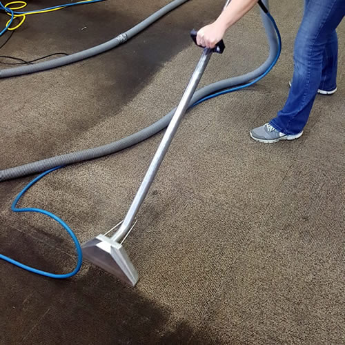 Photo of women cleaning carpet